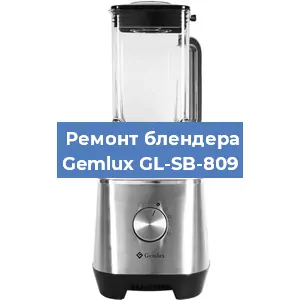 Замена щеток на блендере Gemlux GL-SB-809 в Тюмени